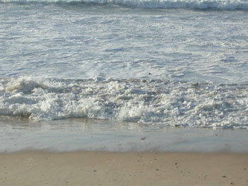 DSCN7091