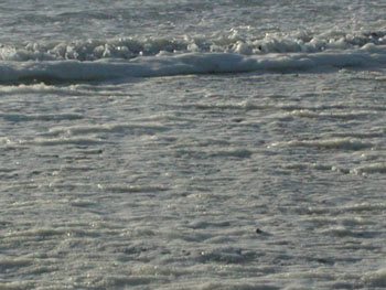 DSCN7092