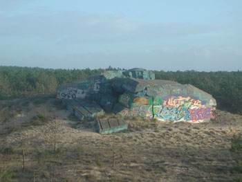 DSCN7120